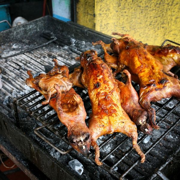 Weird Foods From Around the World - Wat's On Your Plate